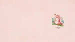 25X30 DISEÑO 04 ROSA